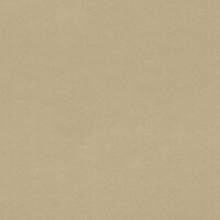 Rasch Salsa Collectie 806892 Behang
