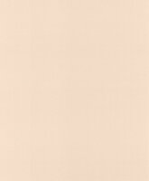 Rasch Salsa 806830 Behang