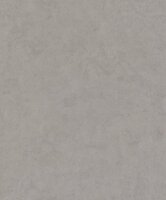 BN Wallcoverings Imagine 221050 - Grijs Behang