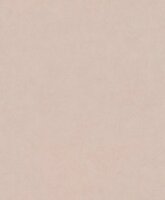 BN Wallcoverings Imagine 221055 - Roze Behang