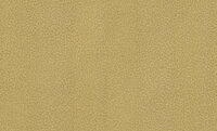 Dutch First Class Roberto Cavalli 8 19017 Behang