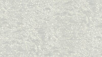 Dutch First Class Roberto Cavalli 8 19034 Behang