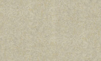 Dutch First Class Roberto Cavalli 8 19061 Behang
