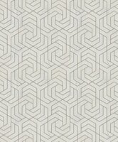 Noordwand Assorti 2024 - 32608 Beige - Metallic Behang