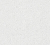 AS Creation 111 Shades of White 6663-14 / 666314 - Wit Behang