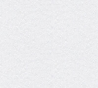 AS Creation 111 Shades of White 9423-19 / 942319 - Wit Behang