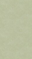 Casadeco Woods WOOD26217010 - Groen Behang