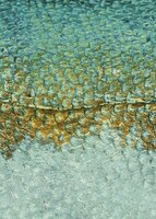 Casadeco Leathers LEAT87207122 - Groen Behang
