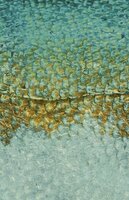 Casadeco Leathers LEAT87217122 - Groen Behang