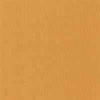 Caselio Escapade EPA101563030 - Oranje Behang