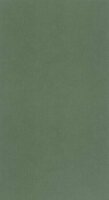 Caselio Around ARN64524044 - Groen Behang