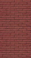 Caselio Young and Free YNF103298054 - Rood Behang