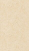 Caselio Patine 2 PAE100221225 - Beige Behang