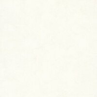 Caselio Patine 2 PAE100221256 - Beige Behang