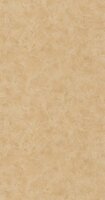 Caselio Patine 2 PAE100221536 - Beige Behang
