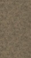 Caselio Patine 2 PAE100221987 - Beige Behang