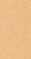 Caselio Patine 2 PAE100222219 - Geel Behang