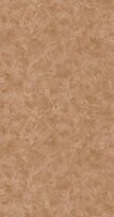 Caselio Patine 2 PAE100222477 - Bruin Behang