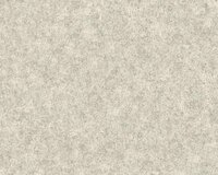AS Creation Beton Behang 36207-5 / 362075 - Beige Behang