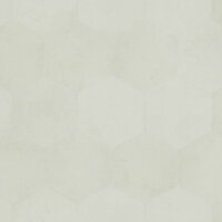 Dutch Wall Decor Philipp Plein Z80002 Grijs Behang