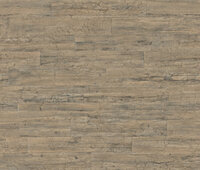 Rasch Curiosity 537031 Behang