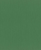 Rasch Curiosity 537673 Behang