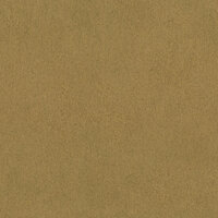 Rasch African Queen 3 - 751031 Goud Behang