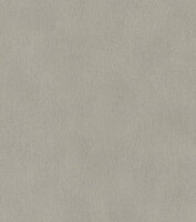 Rasch African Queen 3 - 751062 Grijs Behang