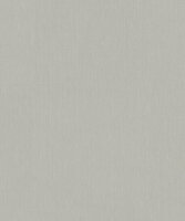 BN Wallcoverings Monochrome 221407 licht grijs Behang