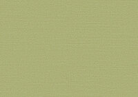 Arte Birds of Paradise SILKY BOP317 Behang