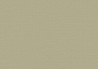 Arte Birds of Paradise SILKY BOP318 Behang