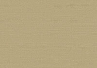 Arte Birds of Paradise SILKY BOP319 Behang