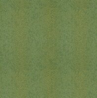 Dutch First Class Amazon River AR1208 Groen Behang