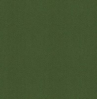 Dutch First Class Amazon River AR7007 Groen Behang