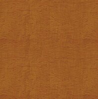 Dutch First Class Amazon River AR9102 Oranjerood Behang