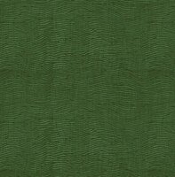 Dutch First Class Amazon River AR9107 Groen Behang