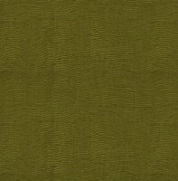 Dutch First Class Amazon River AR9108 Groen Behang