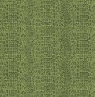 Dutch First Class Amazon River AR9908 Groen Behang