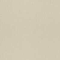 Dutch First Class Midbec F&auml;gring 77013 Flax Behang