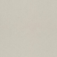 Dutch First Class Midbec F&auml;gring 77021 Almond Behang