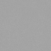 Dutch First Class Patagonia Grey FC36141 Behang