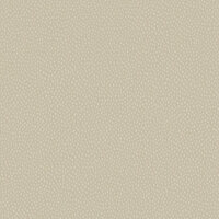 Dutch First Class Patagonia Beige FC36142 Behang