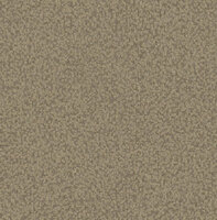 Dutch First Class Thom beige TH0708 Behang