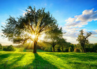 FBK Landschap Fotobehang 13015 Behang