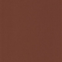 Casamance Delta B72123066 - Oranje Behang