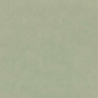 Casamance La Chaux B75496732 - Groen Behang