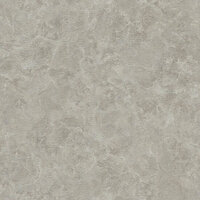 Dutch Wall Decor Splendor Z21702 Grijs Behang