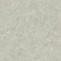 Dutch Wall Decor Splendor Z21703 Grijs Behang
