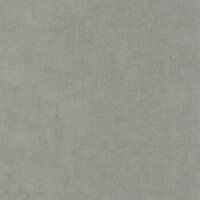 Casadeco Minerals MNRL88099303 - Grijs Behang