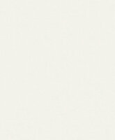 Dutch Wallcoverings Attitude A65601 Wit Behang